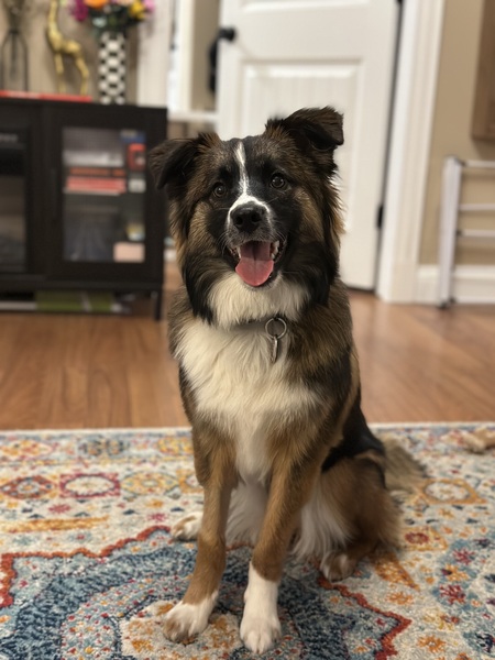 Aspen
