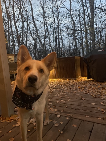 Oakley