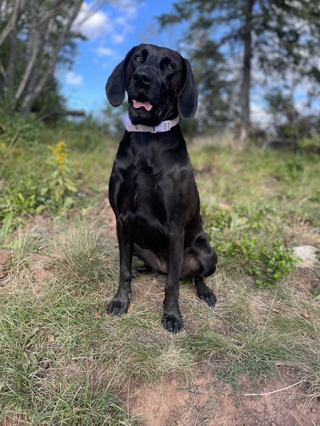 Kita 
