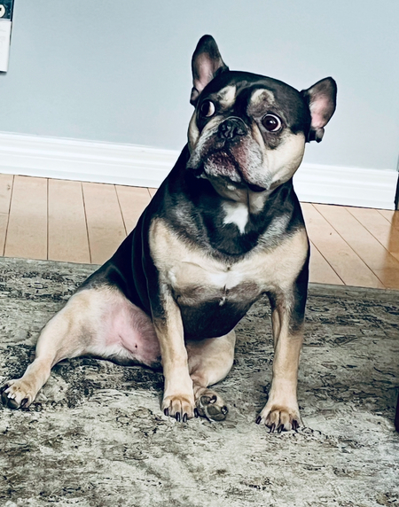Hugo