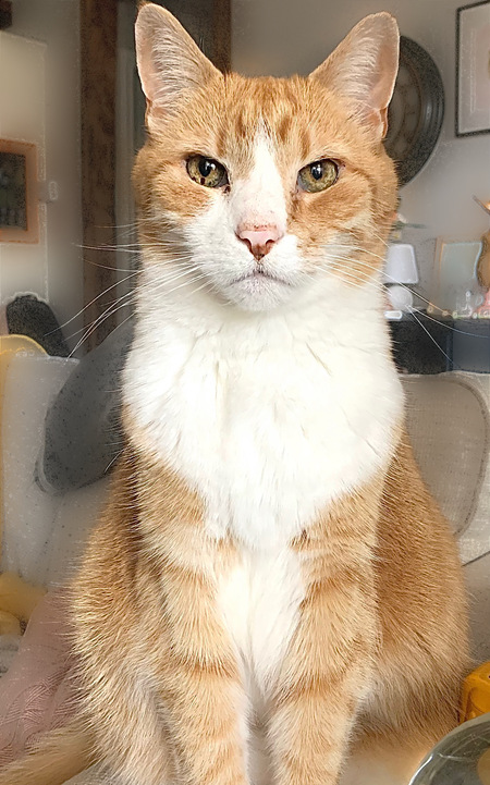 Finnigan