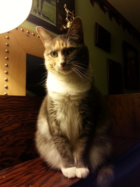 Bailey