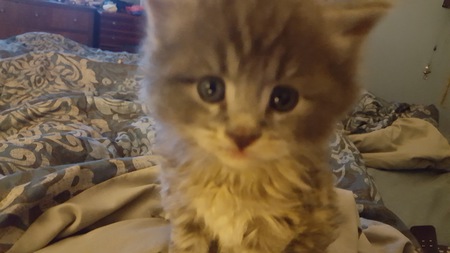 Jack