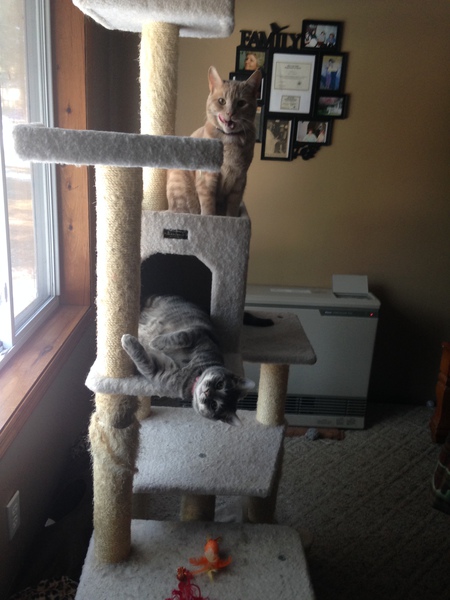 Calvin and Mabel Anne