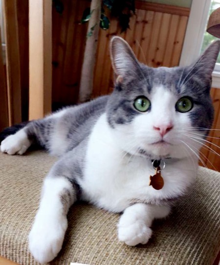 Oona 