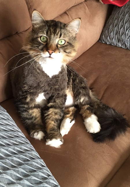 Oscar