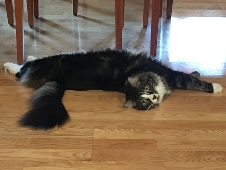 Barnaby