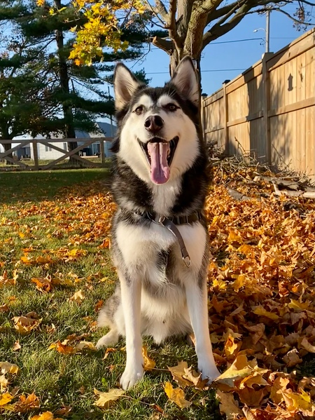 Lennon