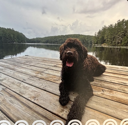 Walter