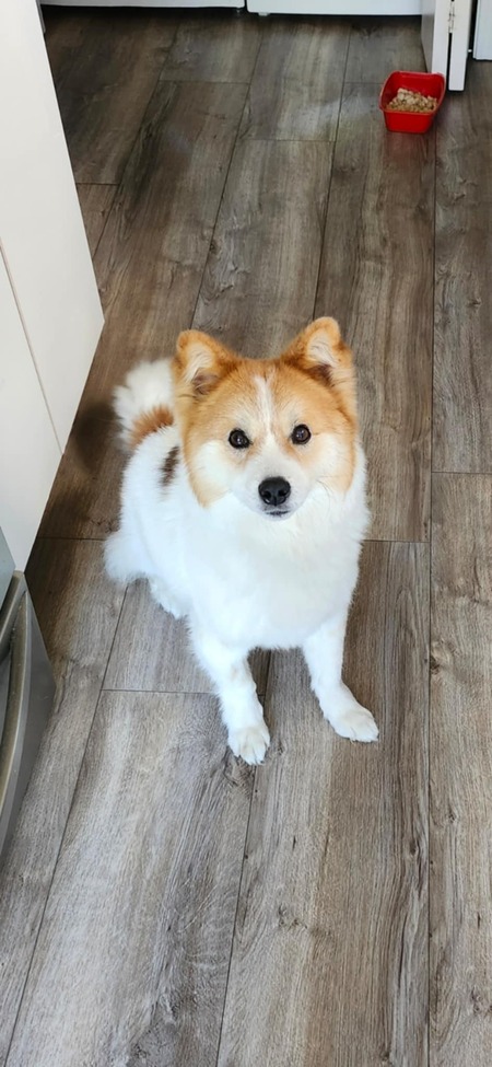 Maru