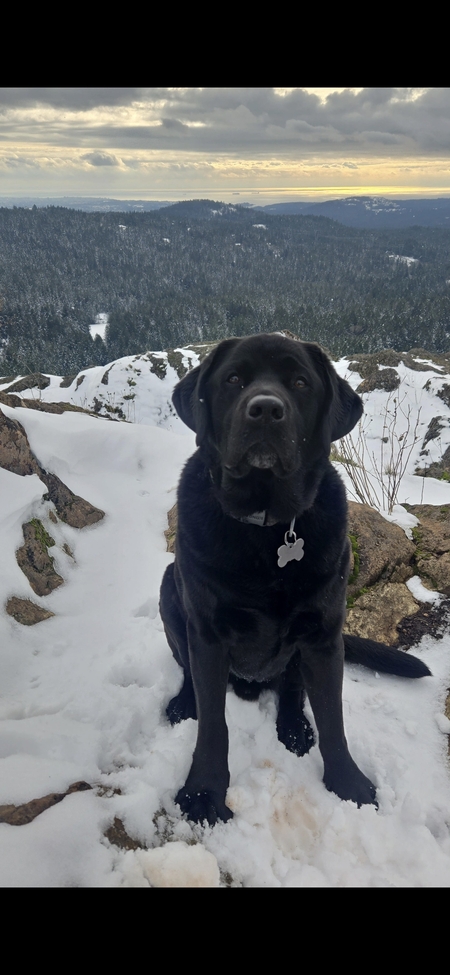 Monty