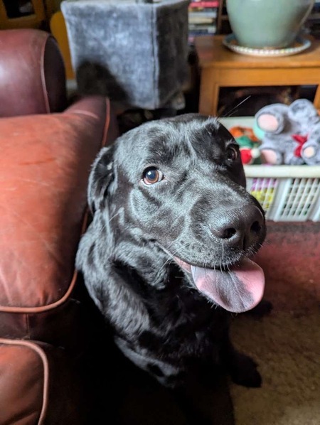 Tilly