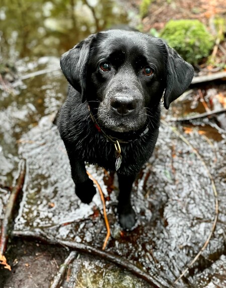 TULLY