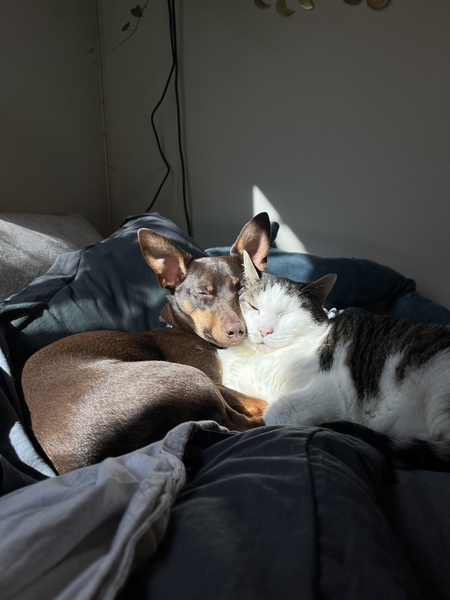 Chopper & Poe
