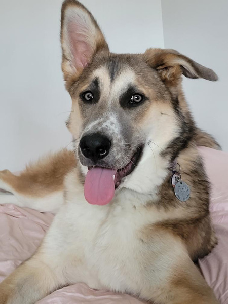 Luna