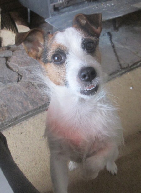 Lilli