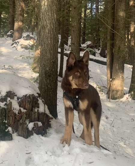 Max