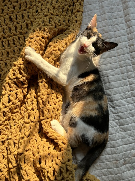 Greta