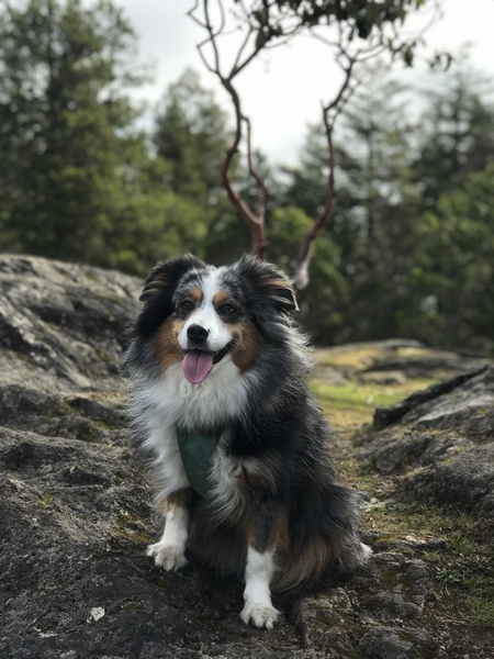 Zoey
