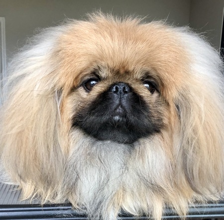 Archie