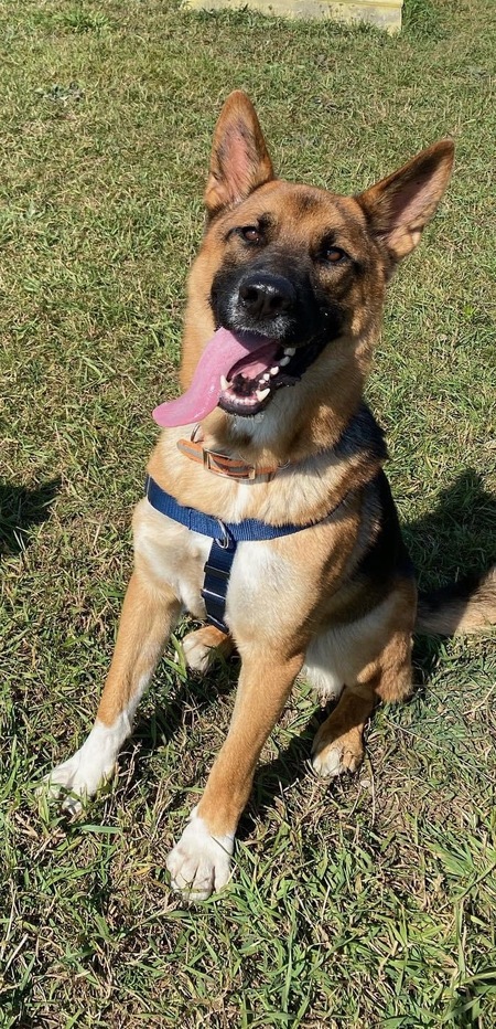 Milo
