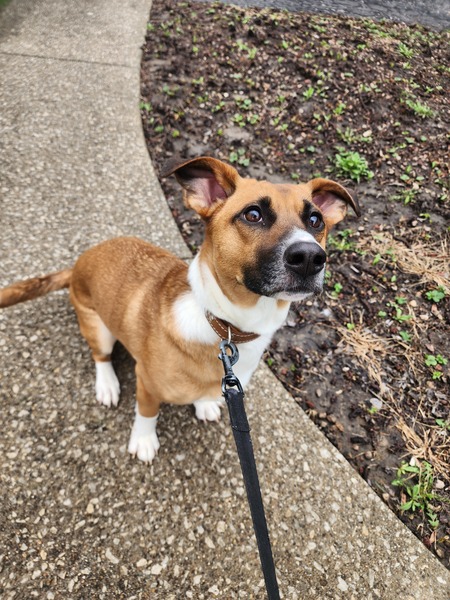 Max