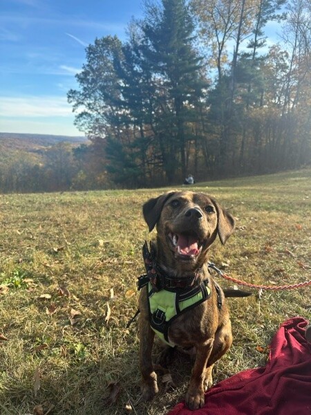 Sammy