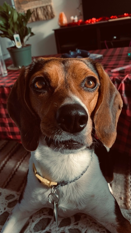 Matilda