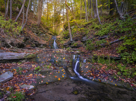 Small Fall