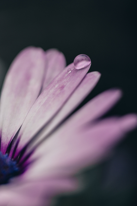 Droplet