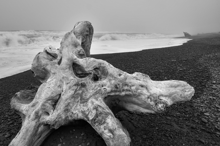 Waiting for the Tide
