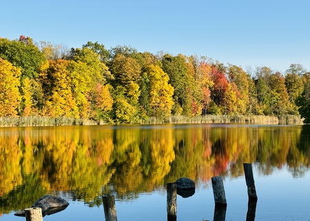 Sinking Ponds Sanctuary