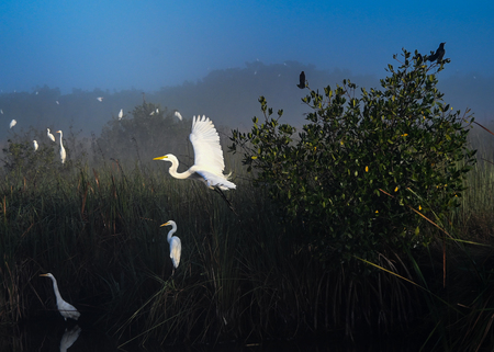 waking up in the 'glades