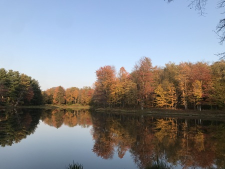 Allegany State Park