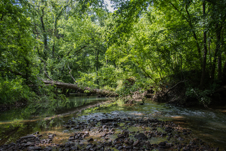 Middle of the Creek 