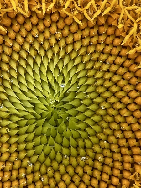 Symmetry