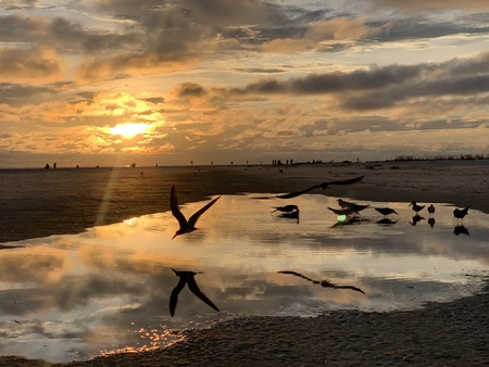 Reflection