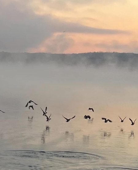 Flight in the fog at the Ferry Landing 