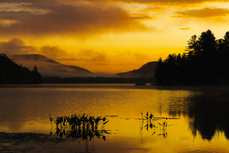 Yellow Dawn on Oxbow Lake