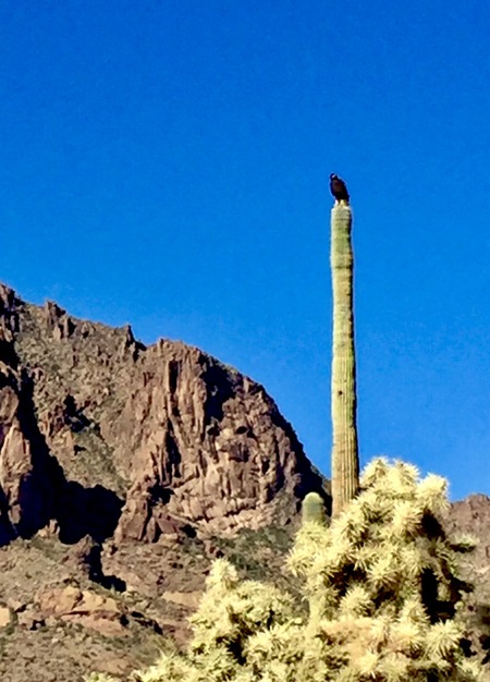 Black Hawk visits Superstition Mountain 