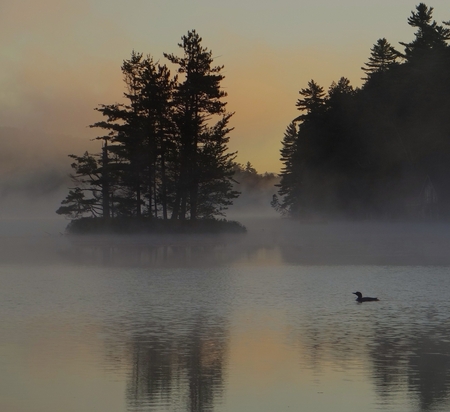 sunrise serenity