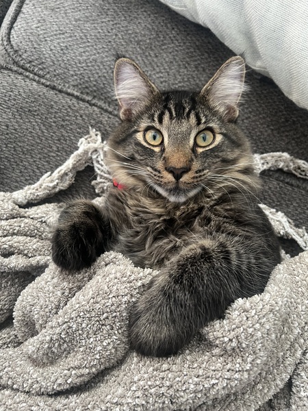 George! 