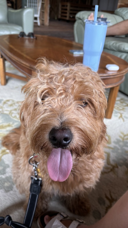 Penny 