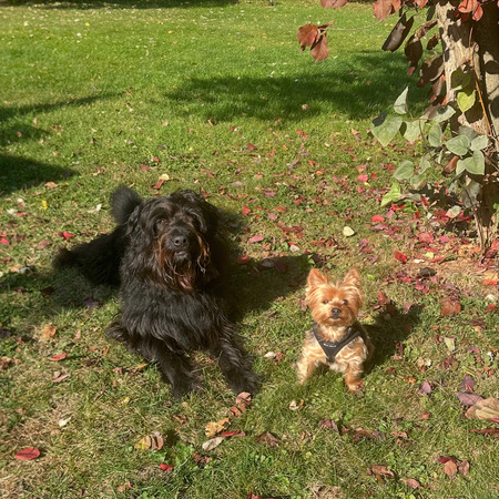 Shady & Rudy