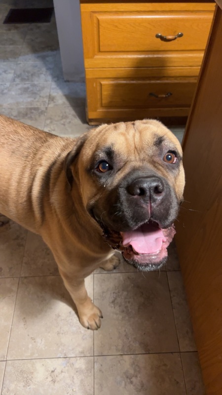 Opie