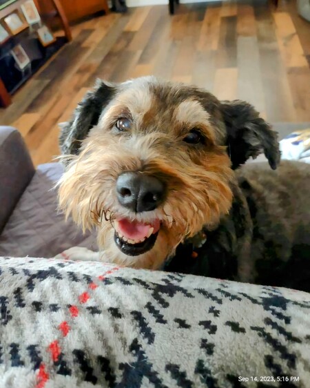 Sophie