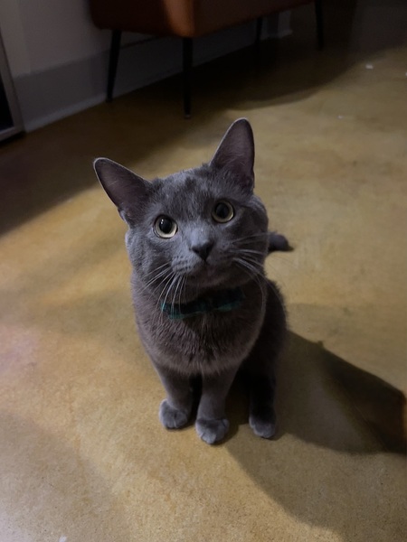 Oliver