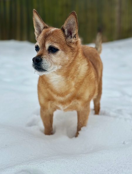 Pablo