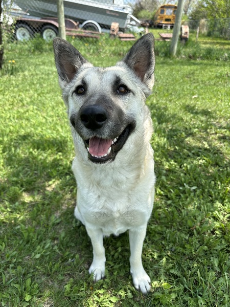 Kenai