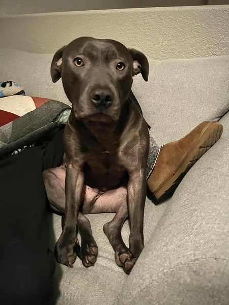 Tucker